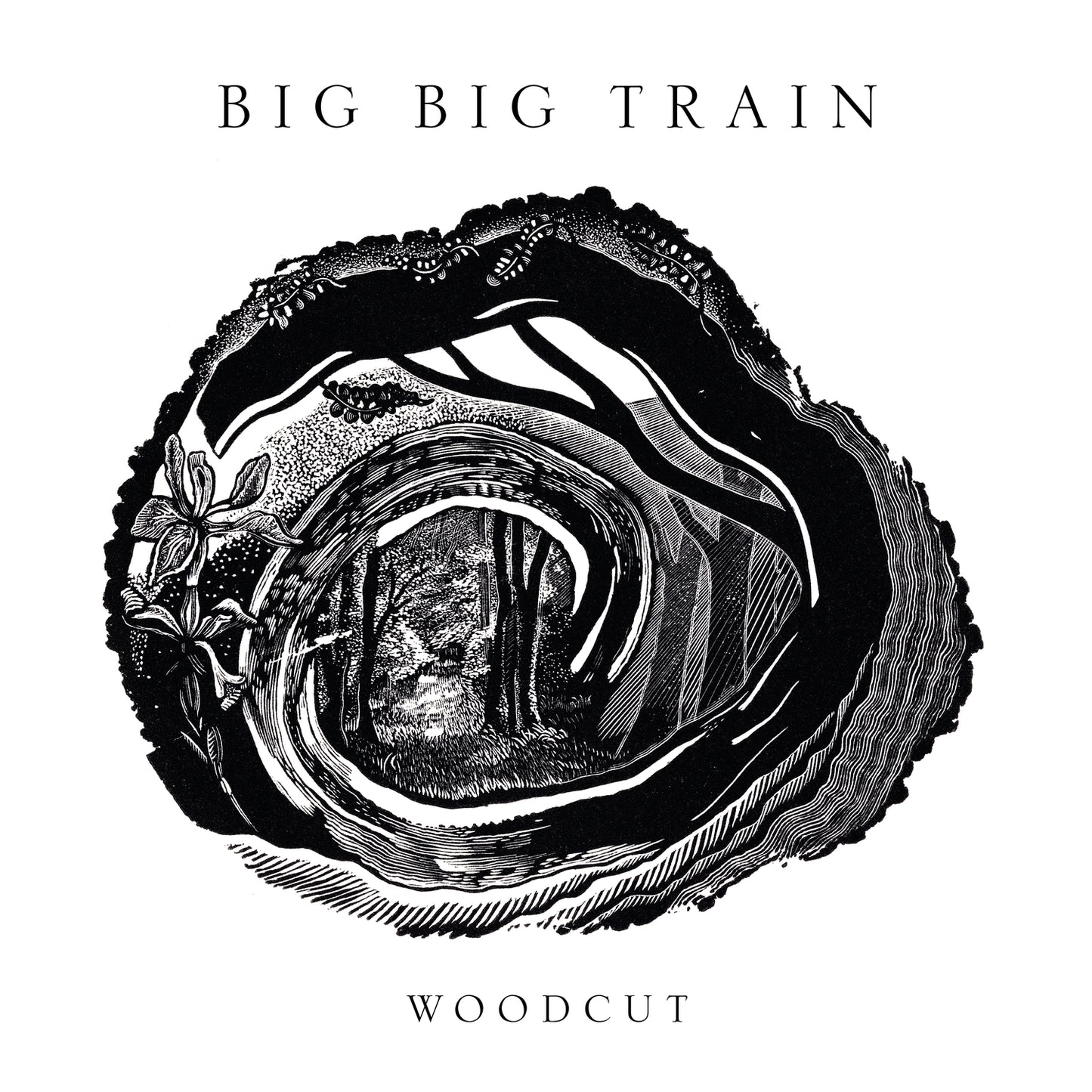 CD - Big Big Train - Woodcut