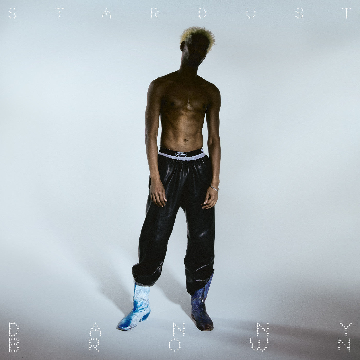 CD - Danny Brown - Stardust