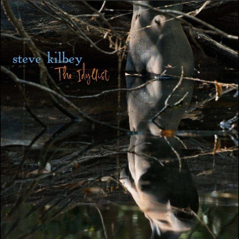 Cd - Steve Kilbey - The Idyllist