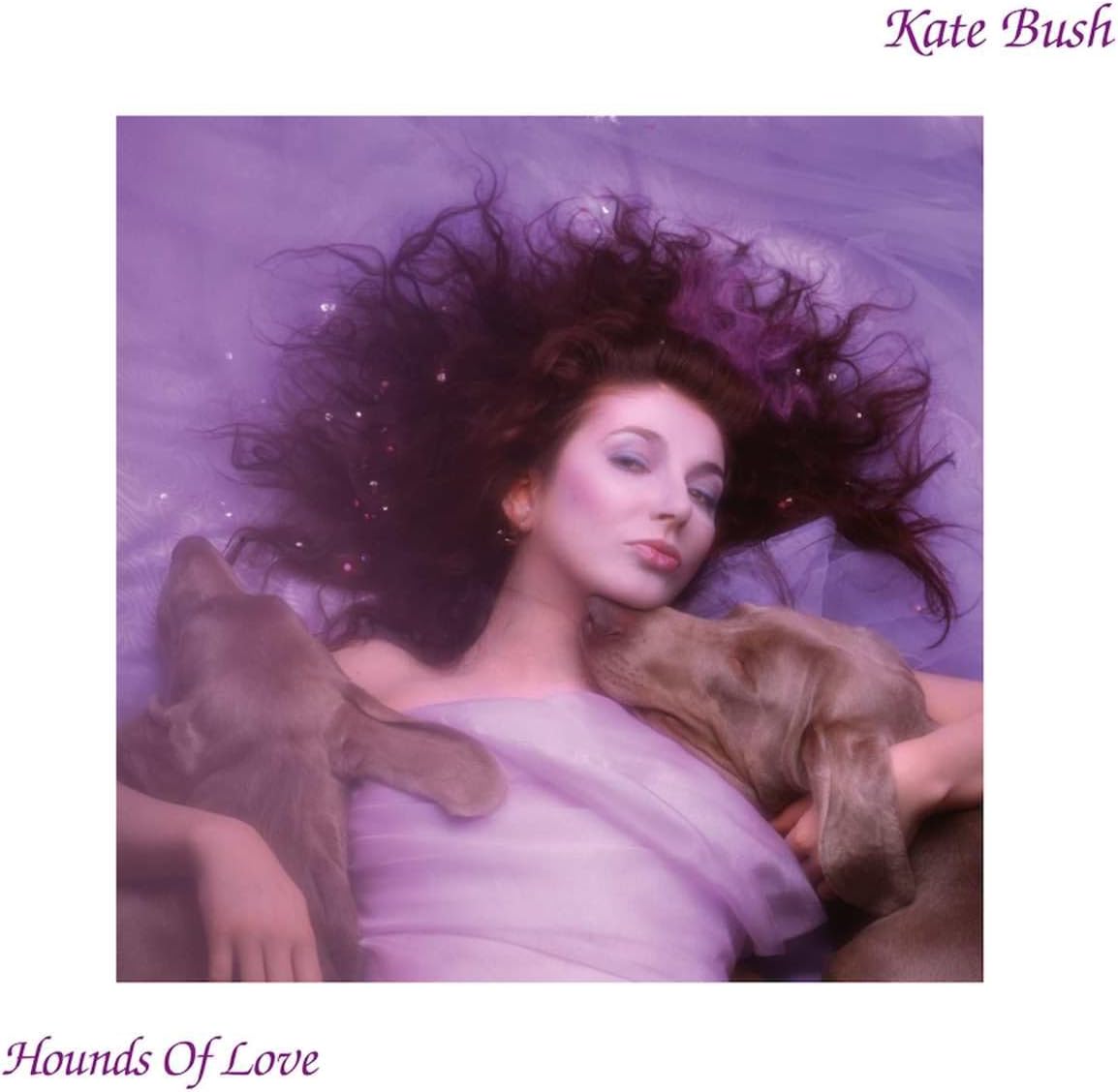 CD - Kate Bush - Hounds Of Love