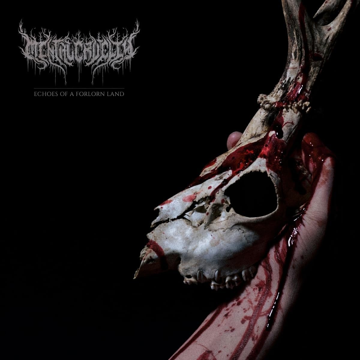 CD - Mental Cruelty - Echoes Of A Forlorn Land