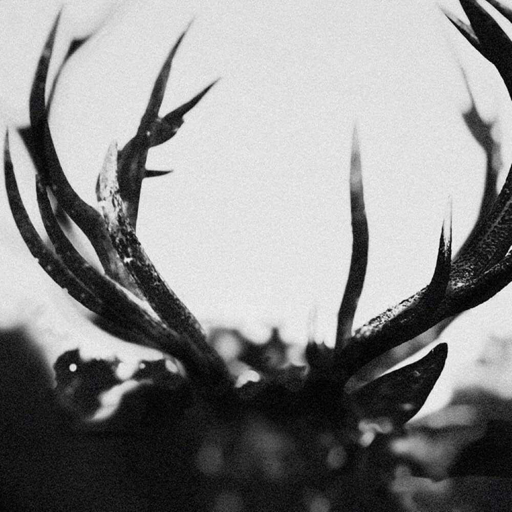 CD - Ihsahn - Ihsahn (Orchestral)