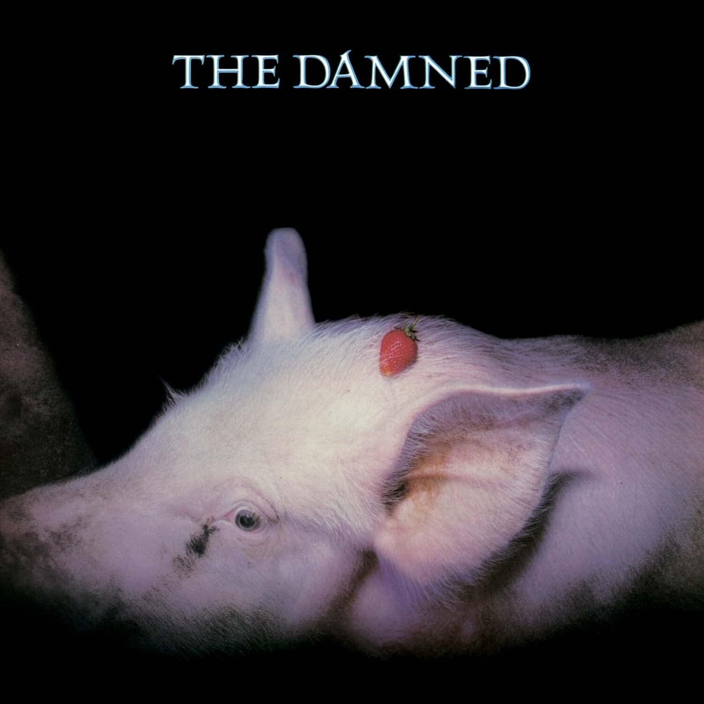 CD - The Damned - Strawberries