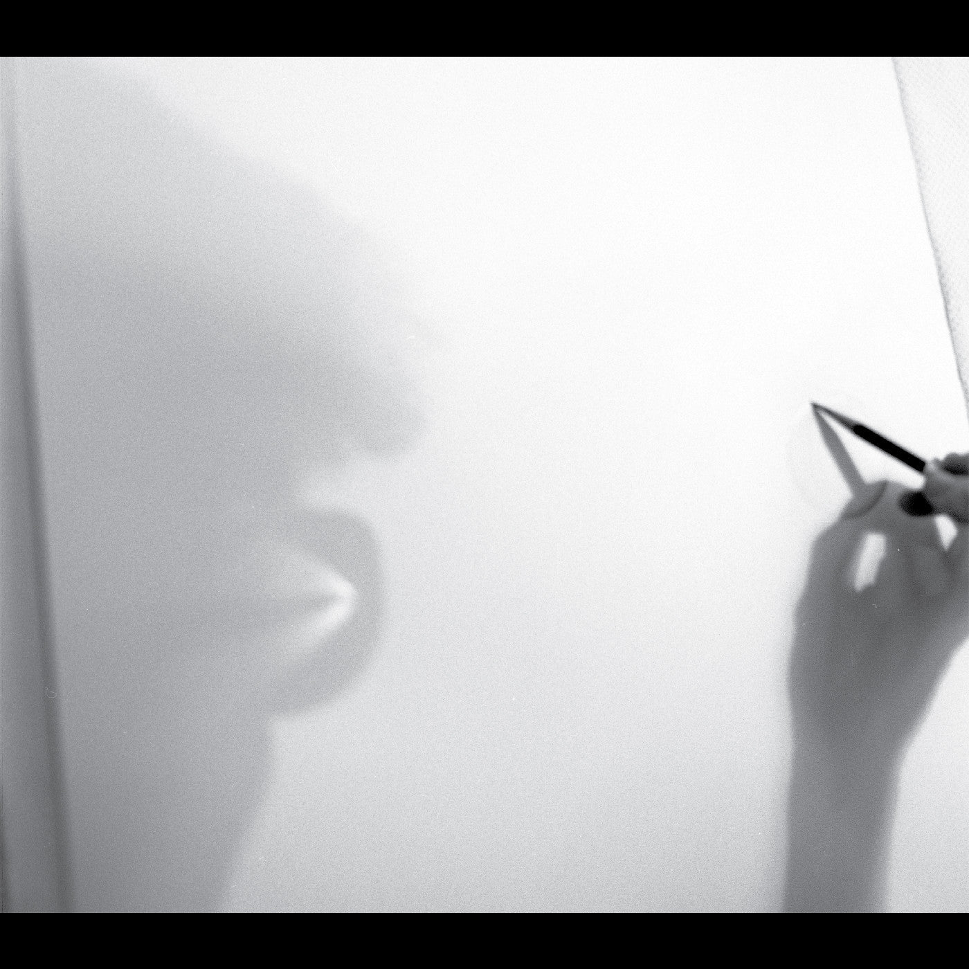 CD - Zeena Parkins - Modesty Of The Magic Thing