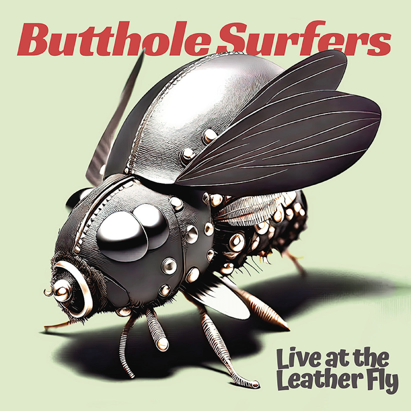 CD - Butthole Surfers - Live At The Leather Fly