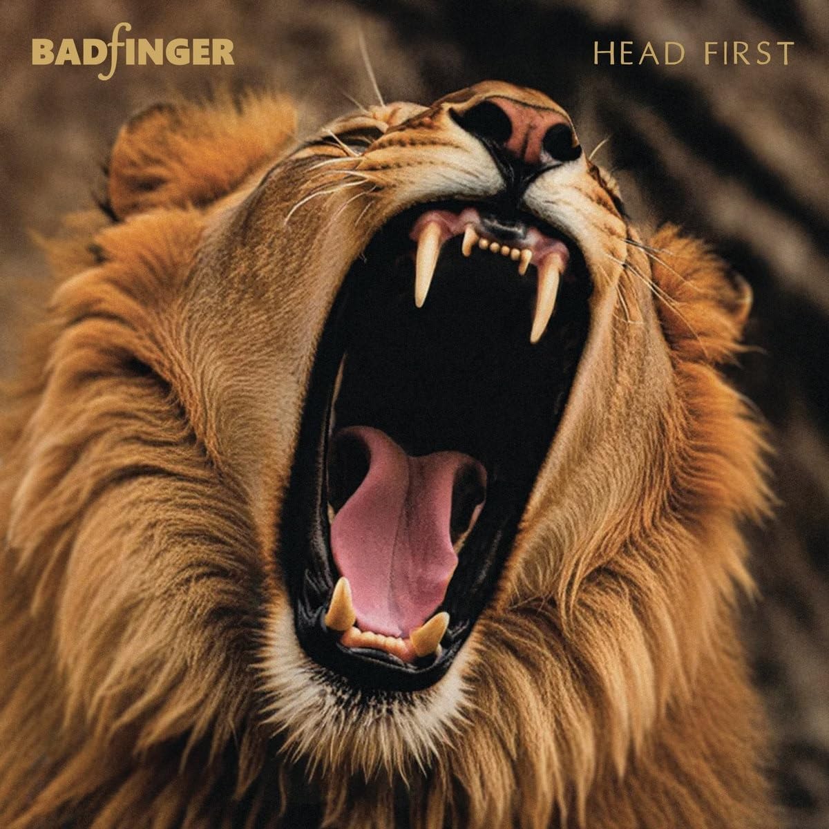 CD - Badfinger - Head First: 50th