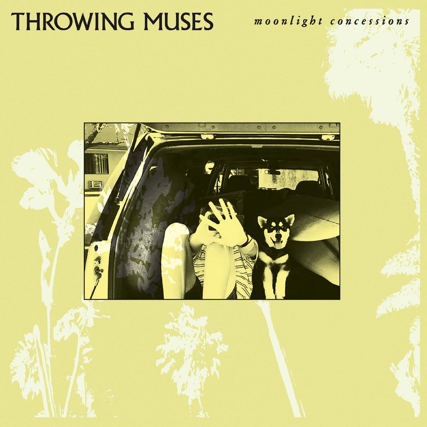 CD - Throwing Muses - Moonlight Concessions