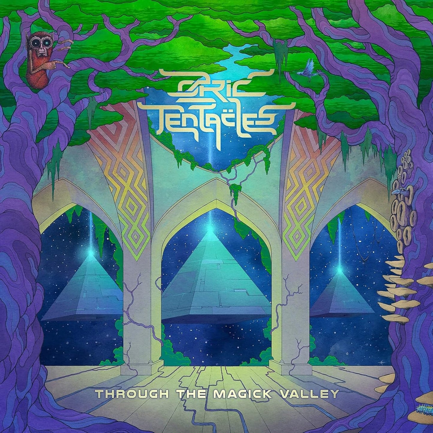 9CD/DVD - Ozric Tentacles - Through The Magick Valley
