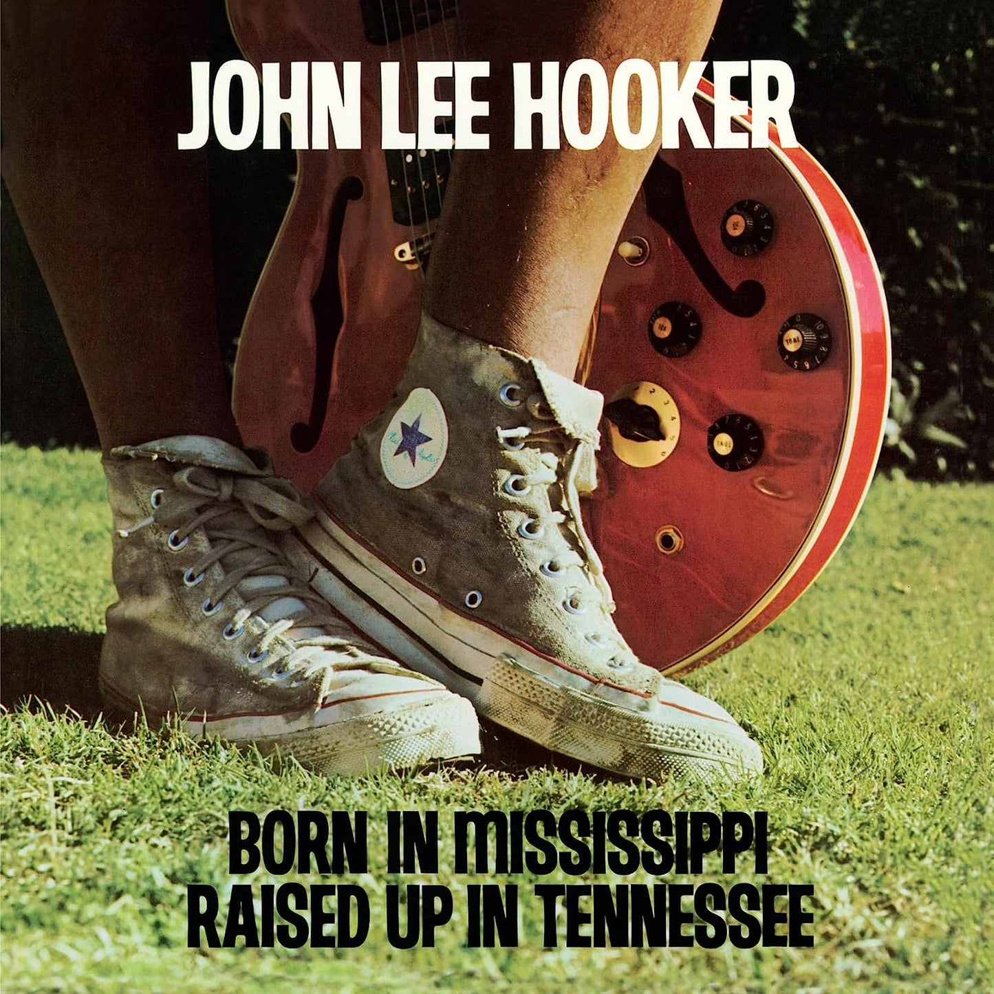 LP - John Lee Hooker - Born In Mississippi, Raised Up In Tennessee