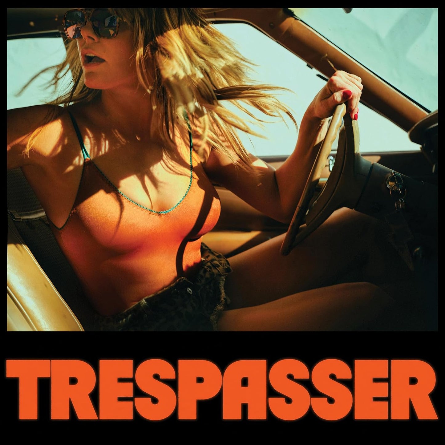 CD - Grace Potter - Trespasser