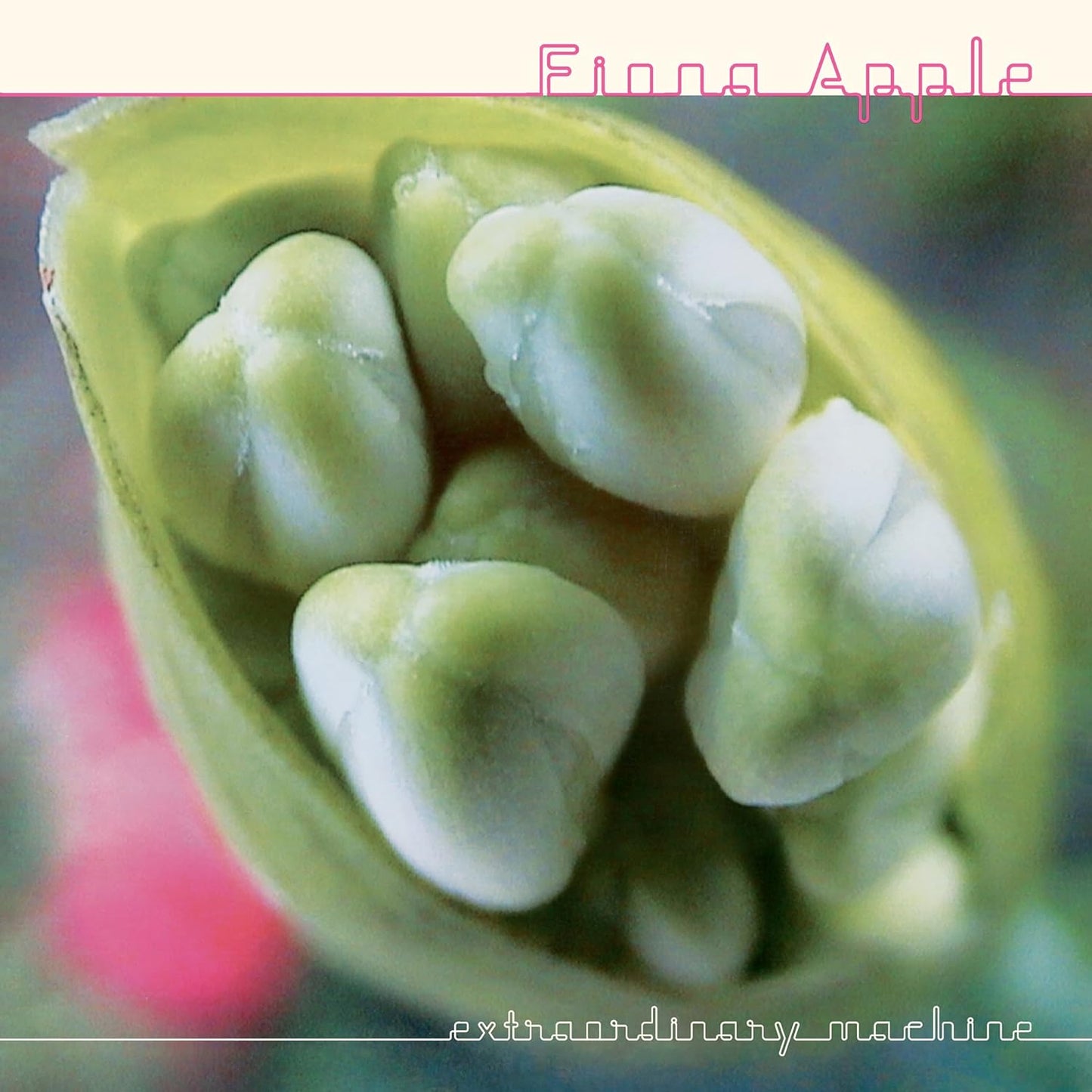 CD - Fiona Apple - Extraordinary Machine