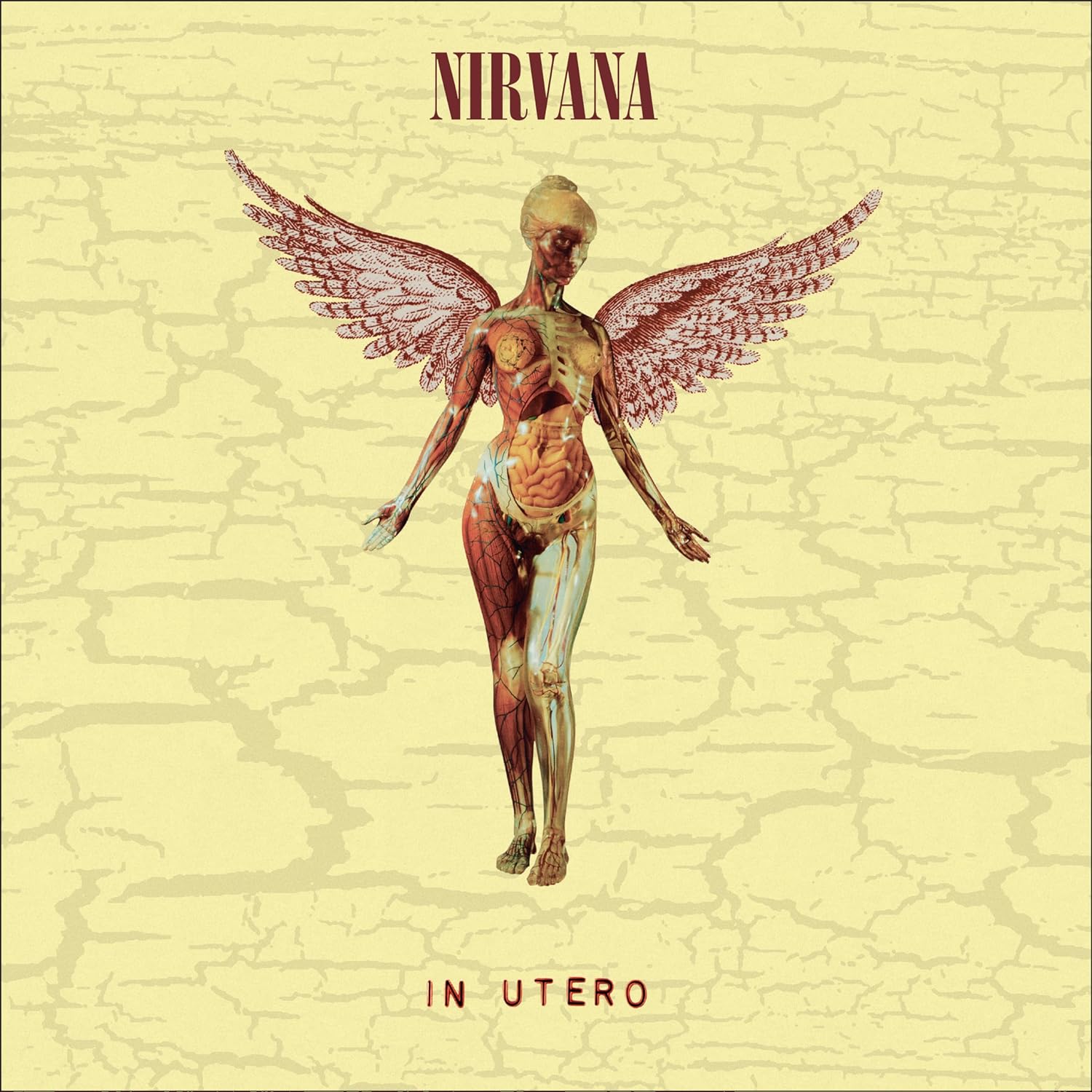 2LP Nirvana In Utero 30th