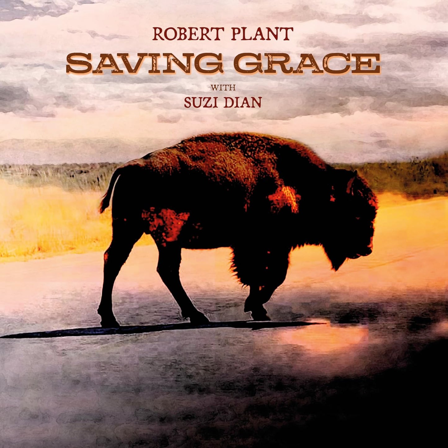 CD - Robert Plant - Saving Grace