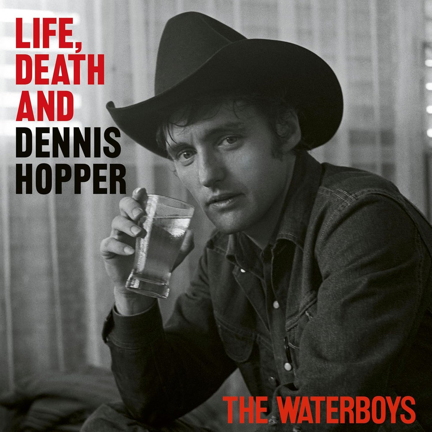 2LP - The Waterboys - Life, Death and Dennis Hopper