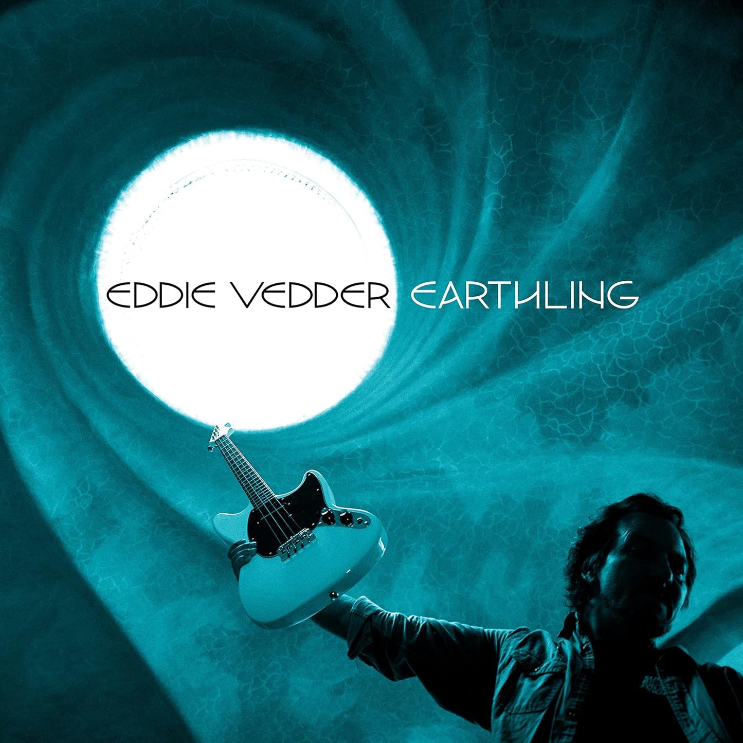 LP - Eddie Vedder - Earthling
