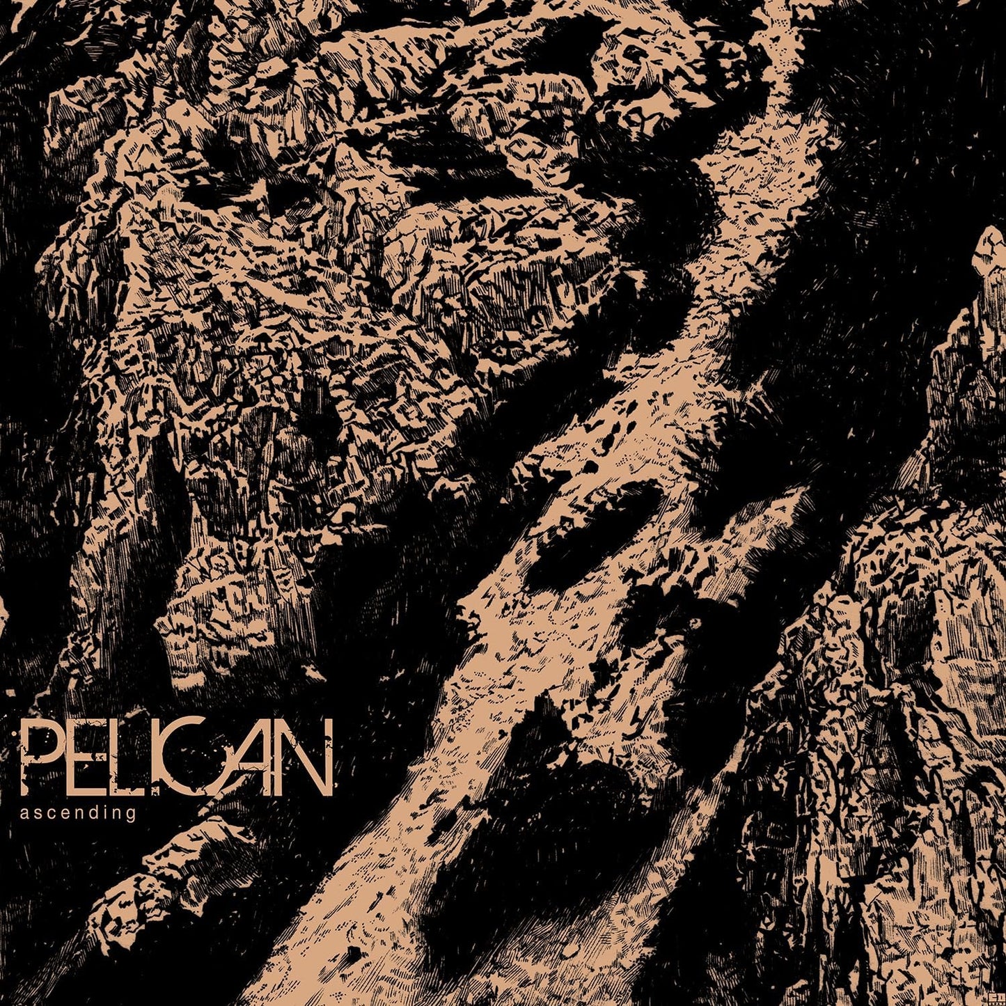LP - Pelican - Ascending