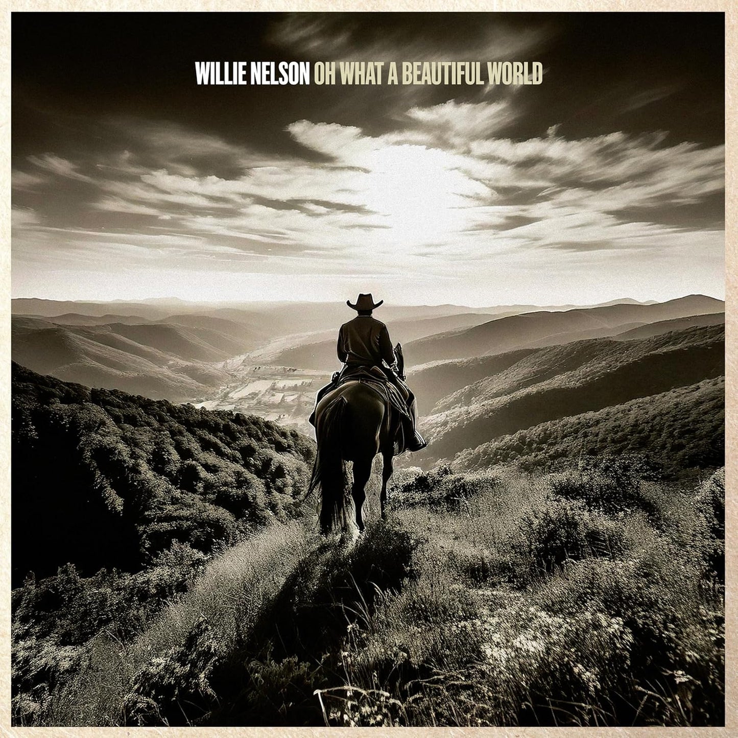 CD - Willie Nelson - Oh What A Beautiful World