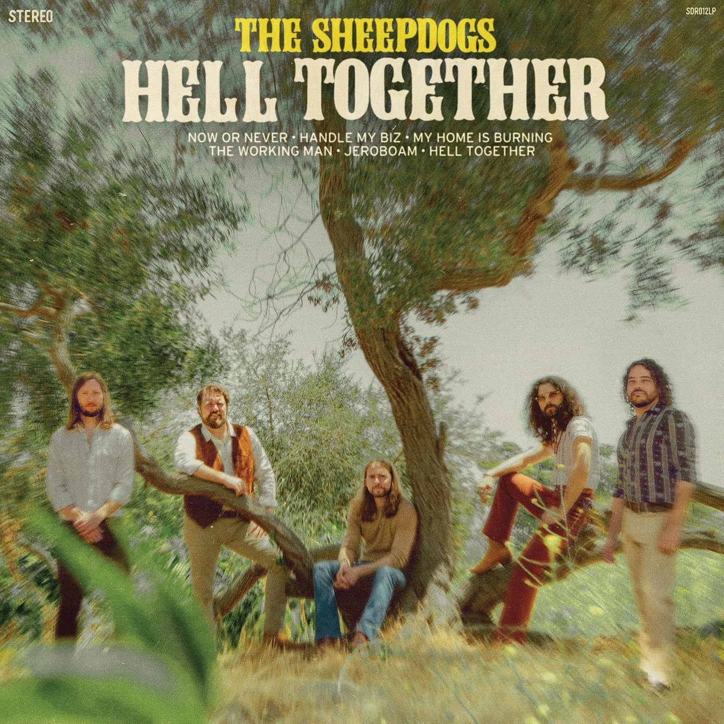 CD - The Sheepdogs - Hell Together