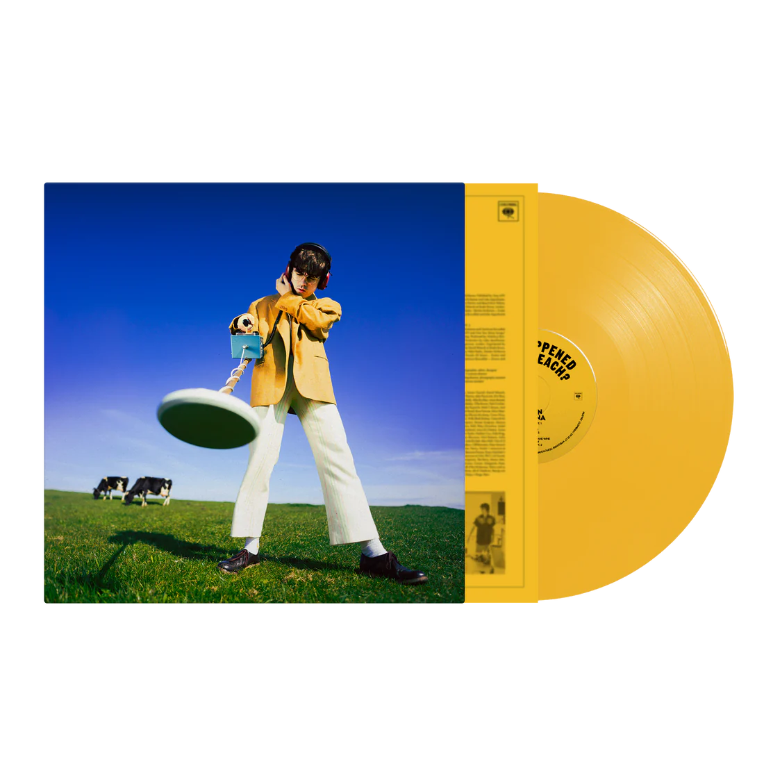 LP - Declan McKenna - What Happened To the Beach?