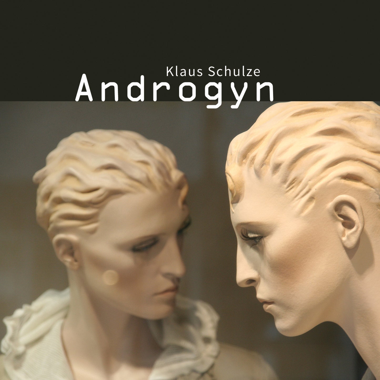CD - Klaus Schulze – Androgyn