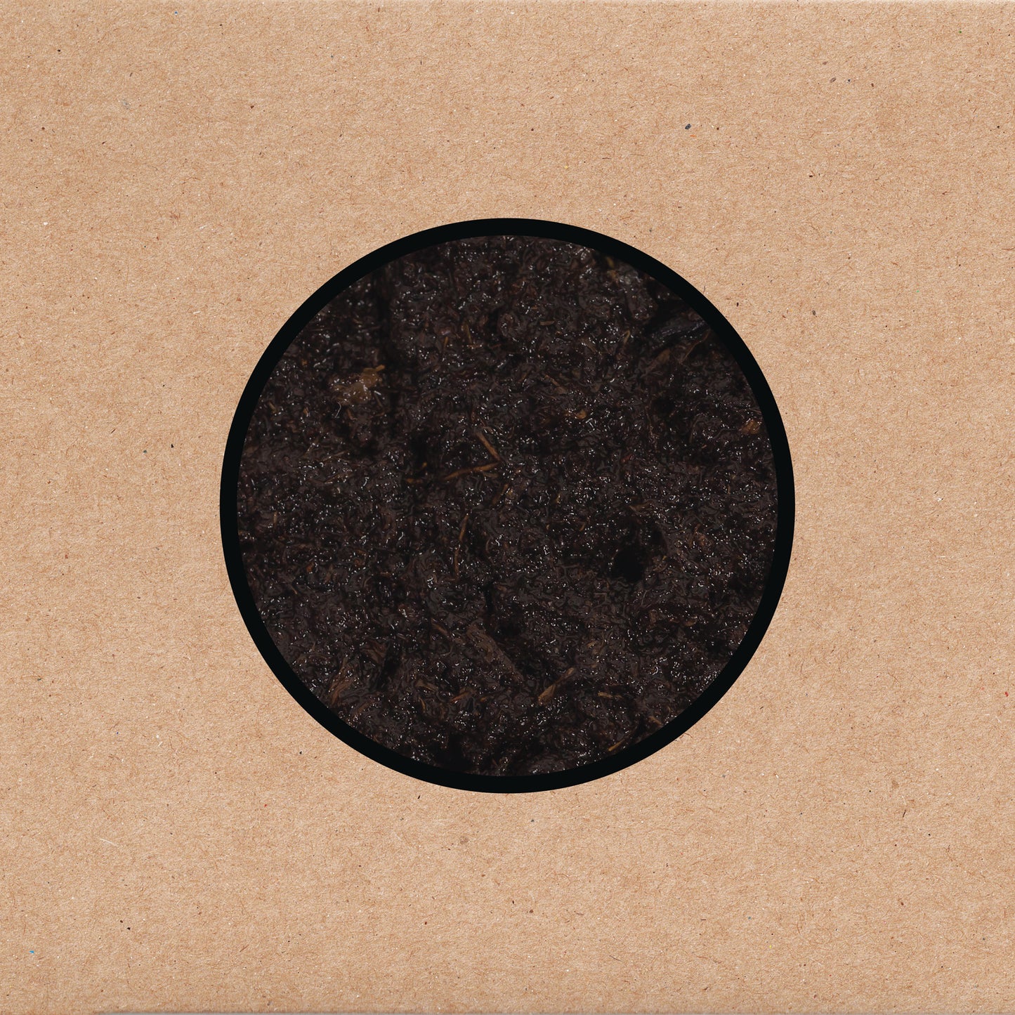 2CD/DVD - Swans - Birthing