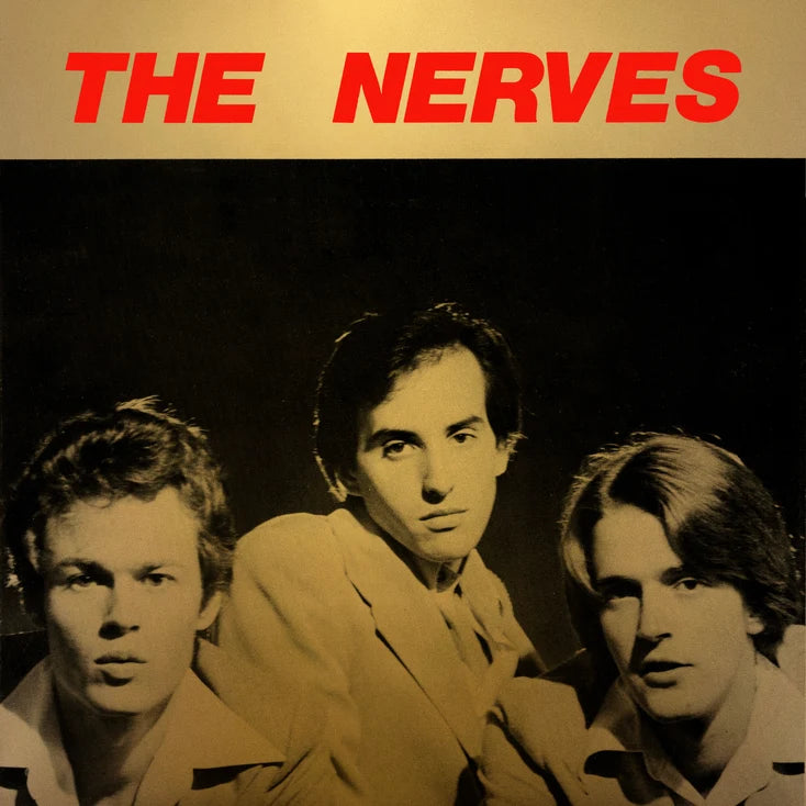 2LP - The Nerves - Best Collection