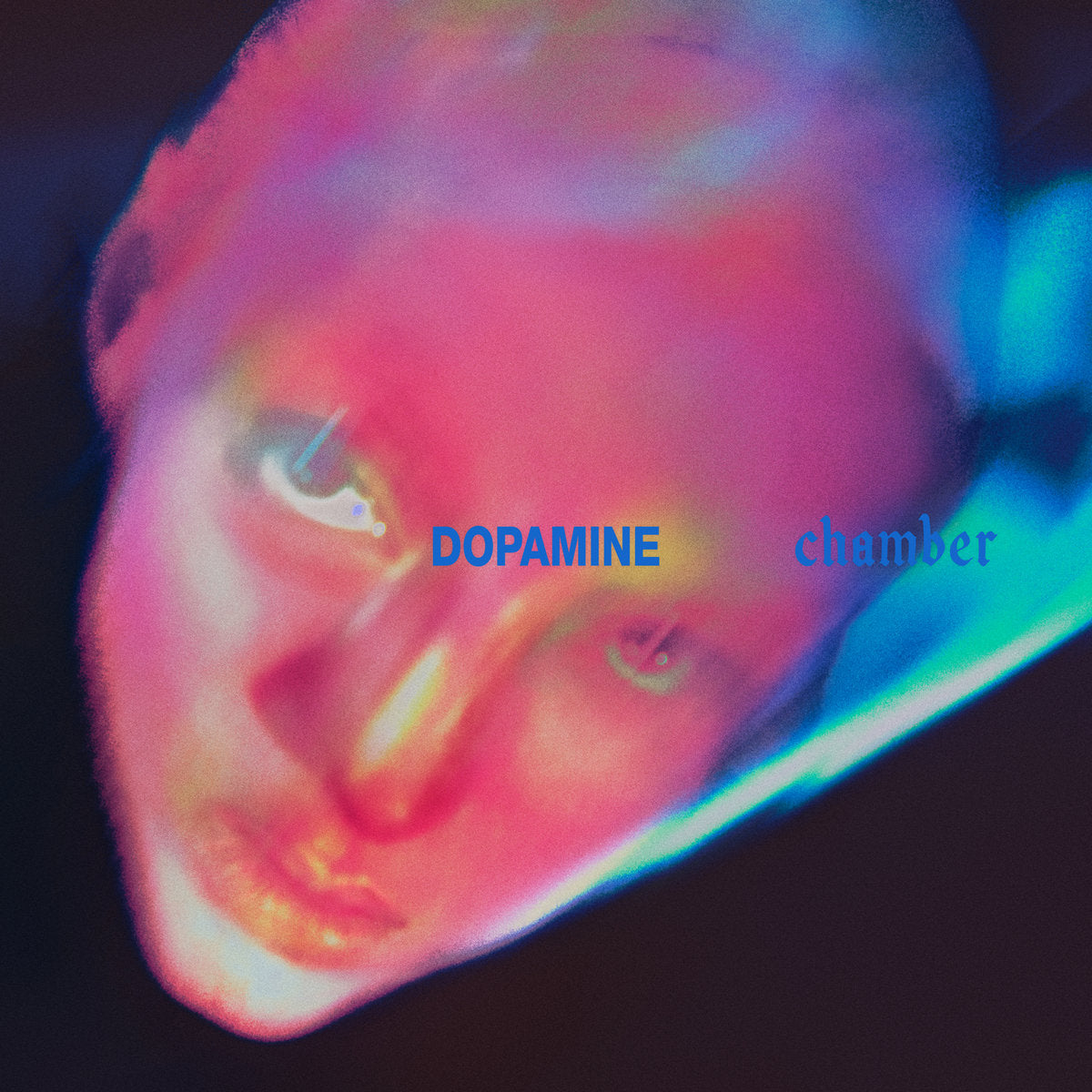 CD - Fontaines DC - Dopamine Chamber (Pre-Order)