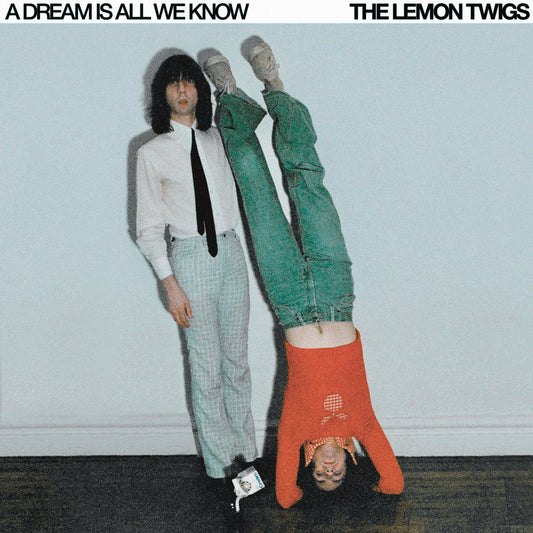 CD - Lemon Twigs - A Dream Is All We Know
