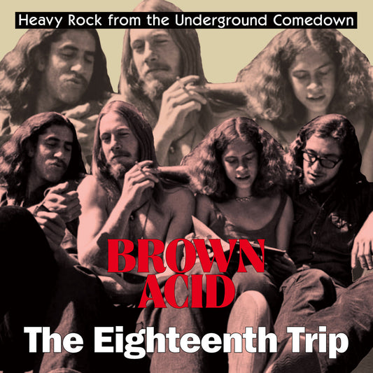LP - Various - Brown Acid: The Eighteenth Trip