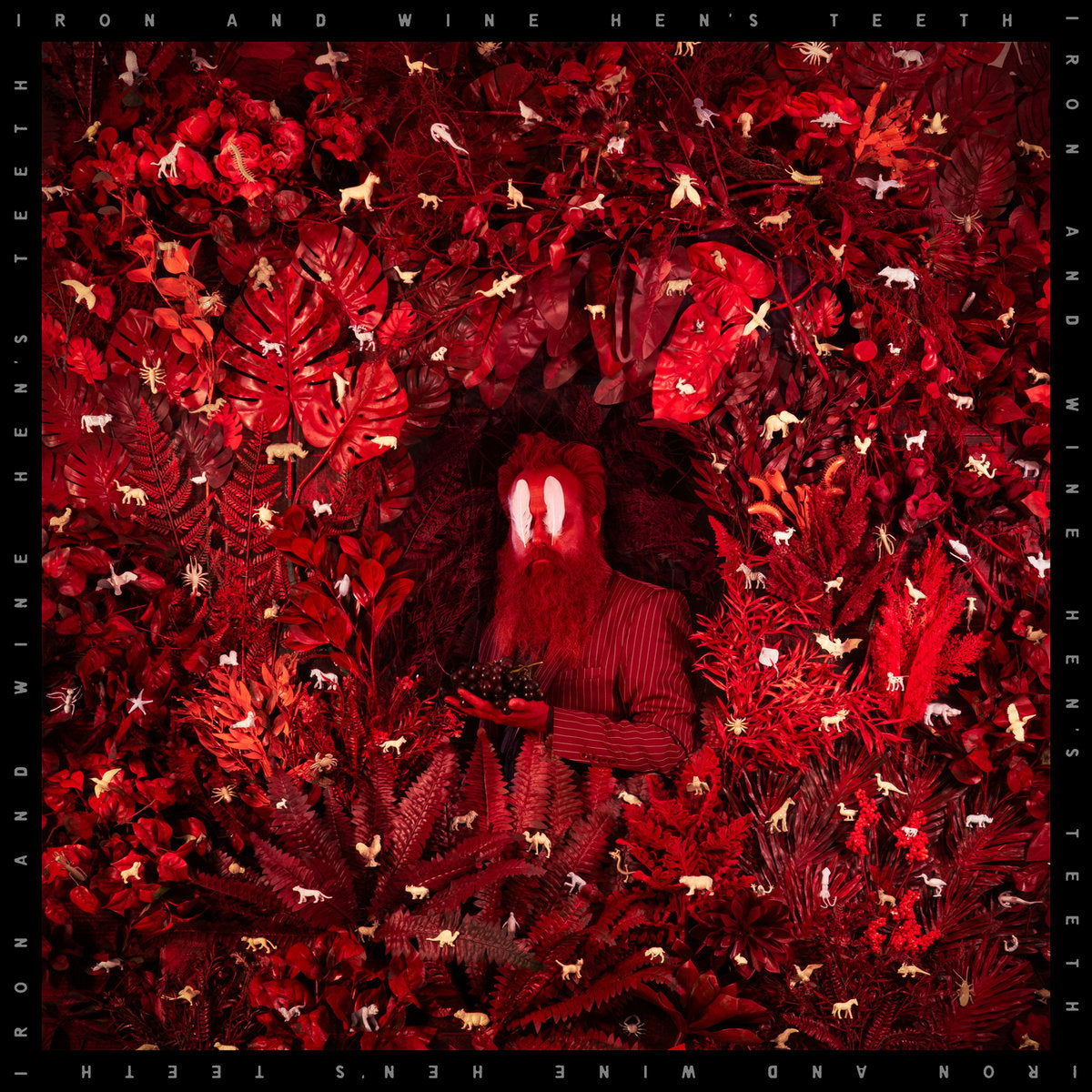 CD - Iron & Wine - Hen's Teeth