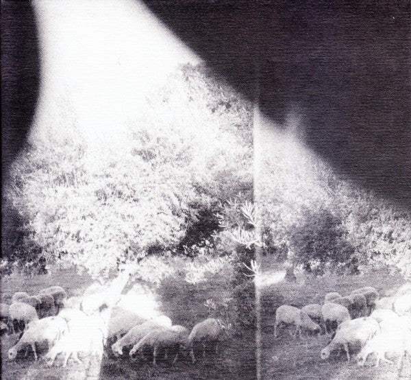CD - Godspeed You! Black Emperor – Asunder, Sweet And Other Distress