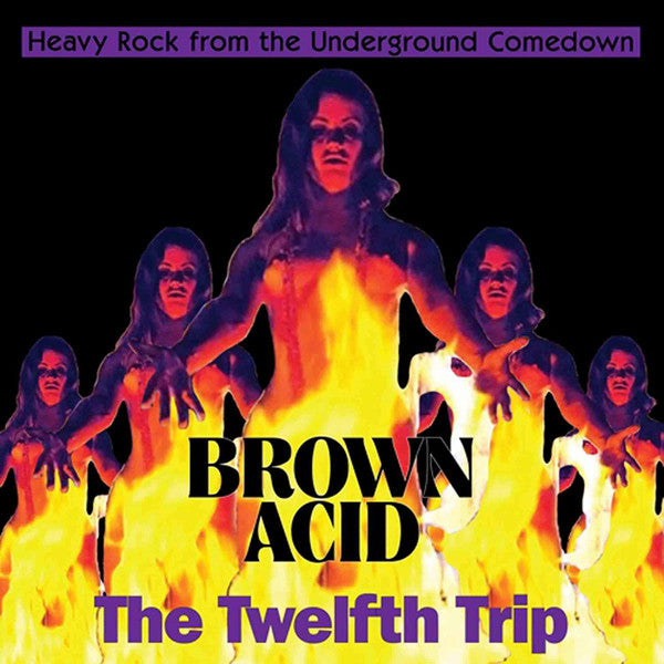 CD - Various – Brown Acid: The Twelfth Trip (Heavy Rock From The Underground Comedown)