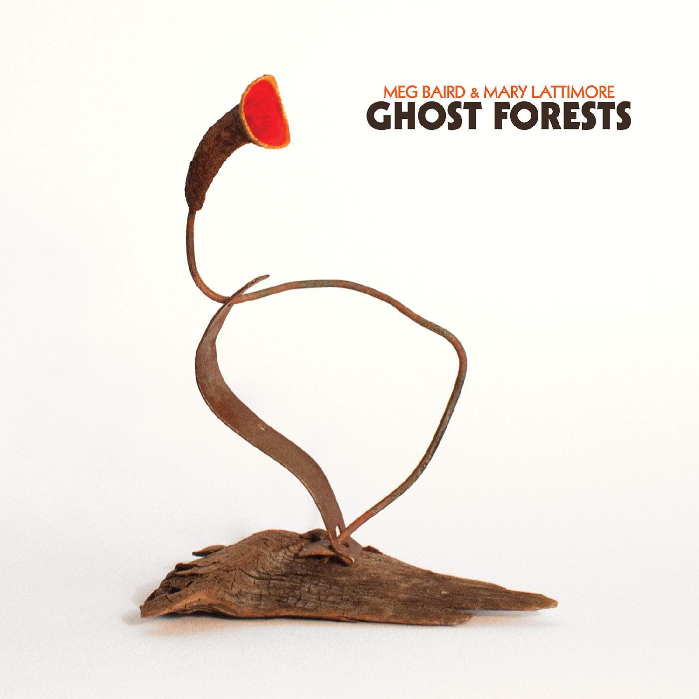 CD - Meg Baird & Mary Lattimore - Ghost Forests
