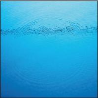 Caribou - Suddenly - CD