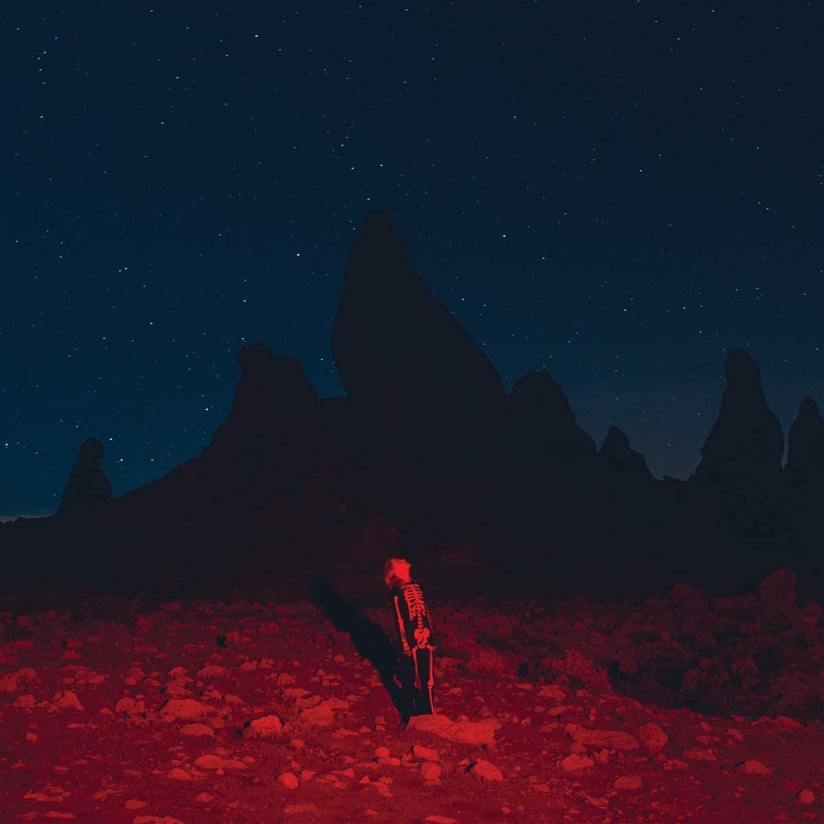 LP - Phoebe Bridgers - Punisher