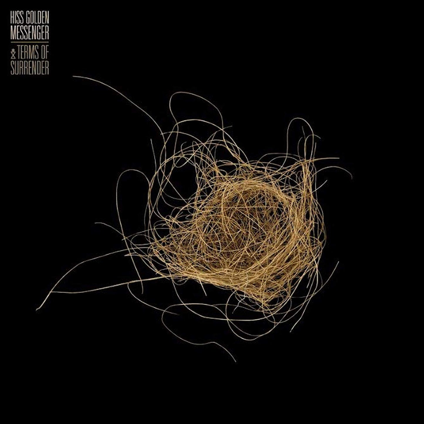 Hiss Golden Messenger - Terms Of Surrender - CD