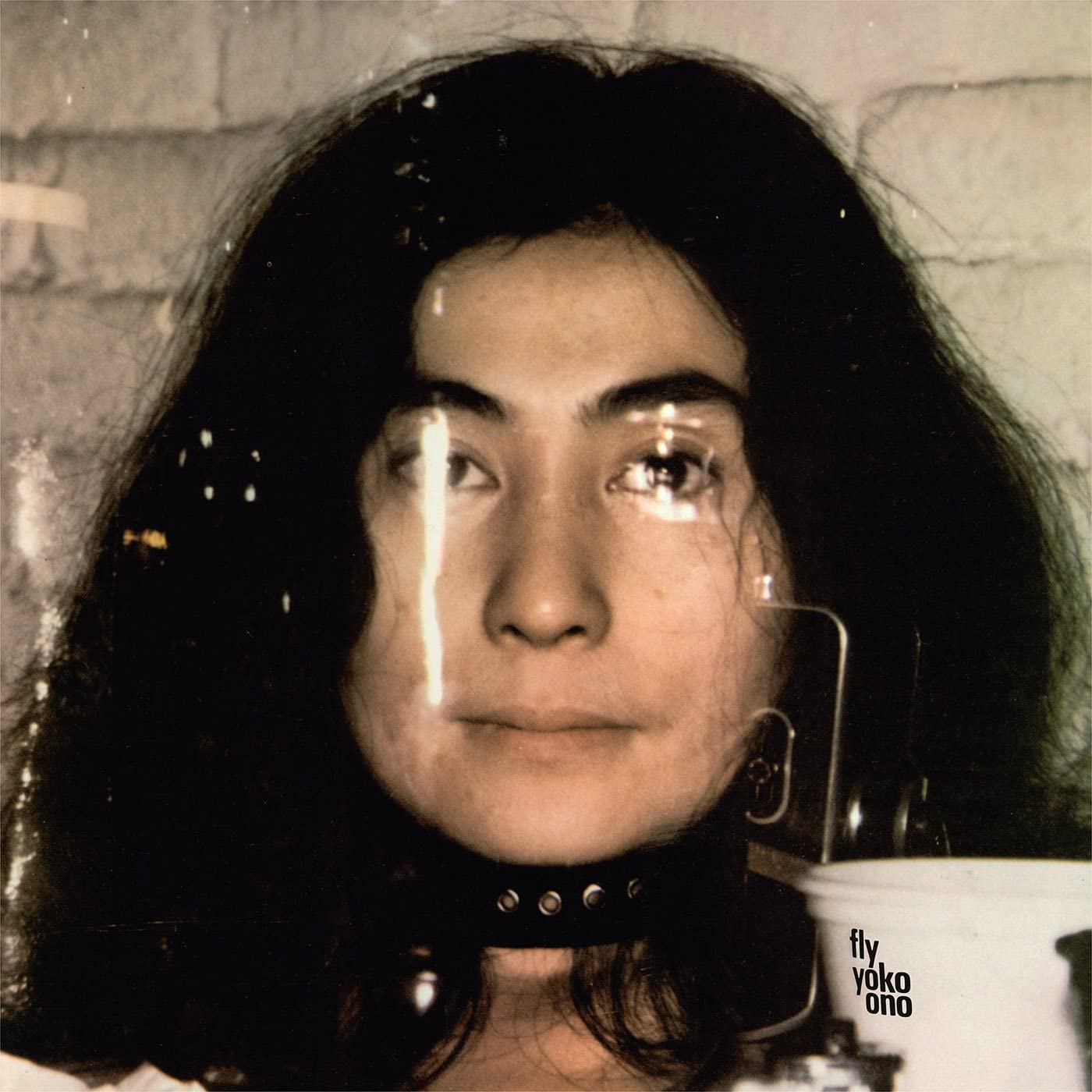 2CD - Yoko Ono - Fly