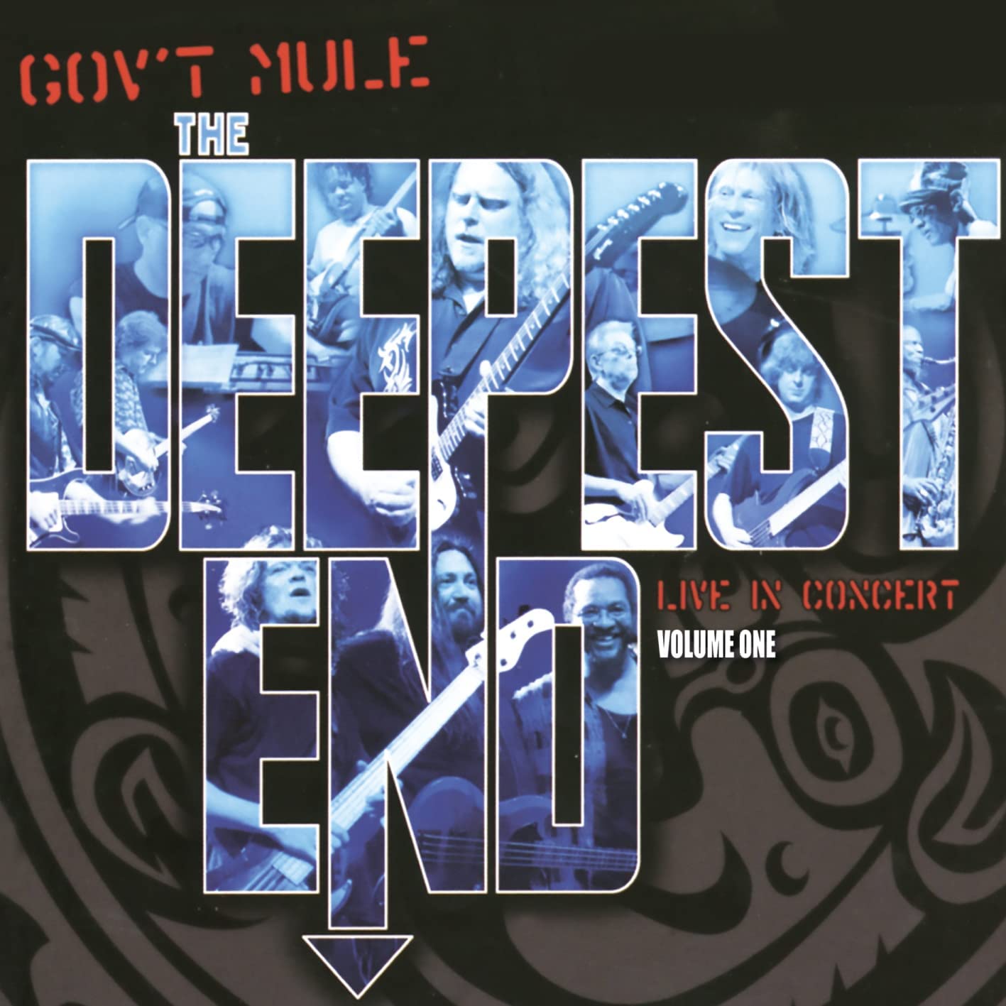 Gov't Mule - The Deepest End Volume One - 2LP