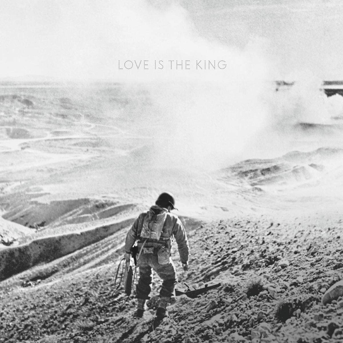 LP - Jeff Tweedy - Love Is The King