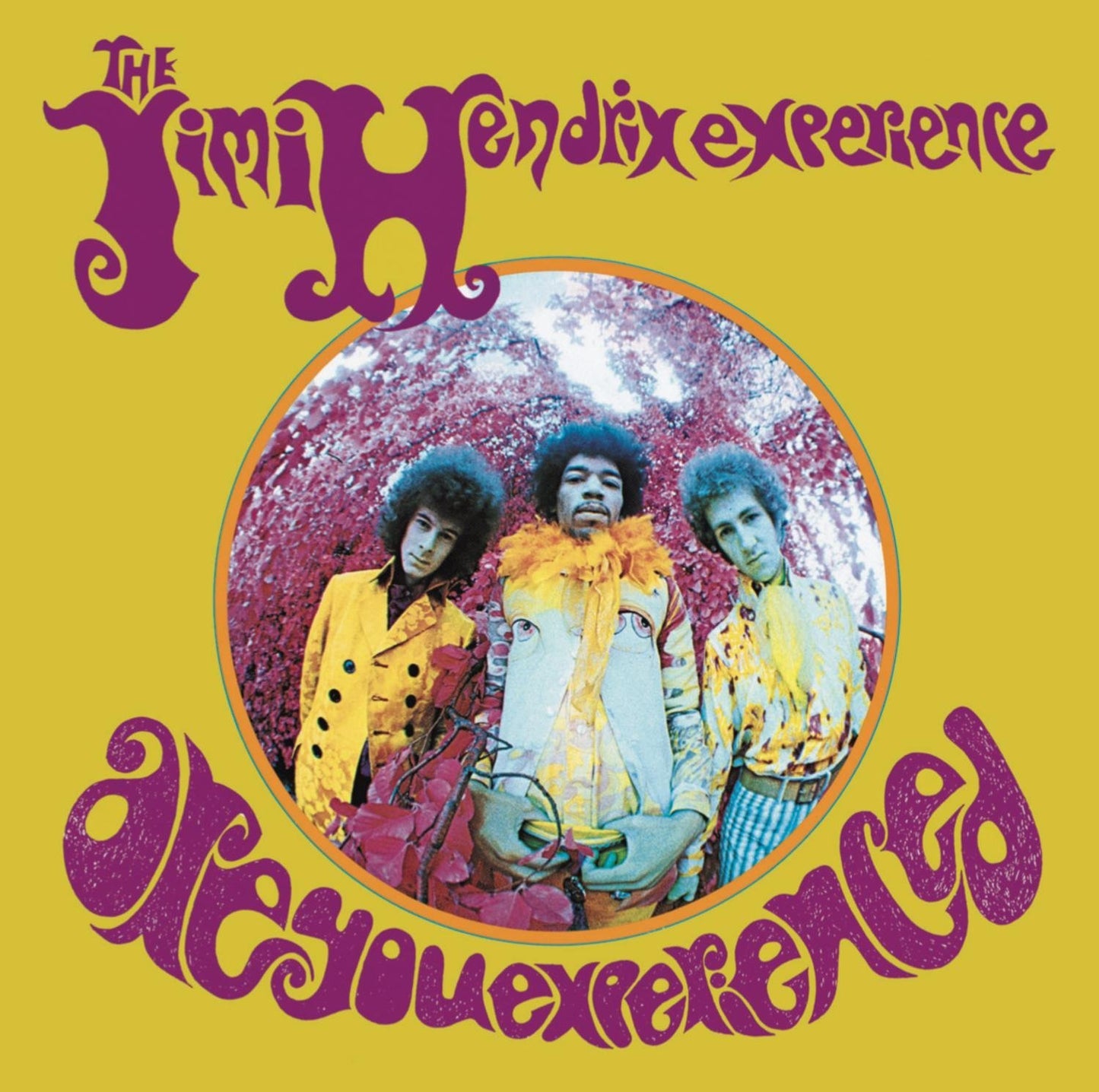 LP - Jimi Hendrix - Are You Experienced