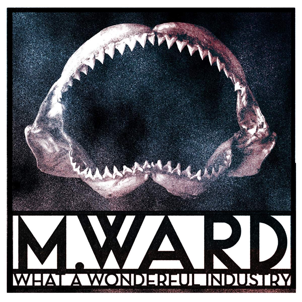M. Ward - What A Wonderful Industry - CD
