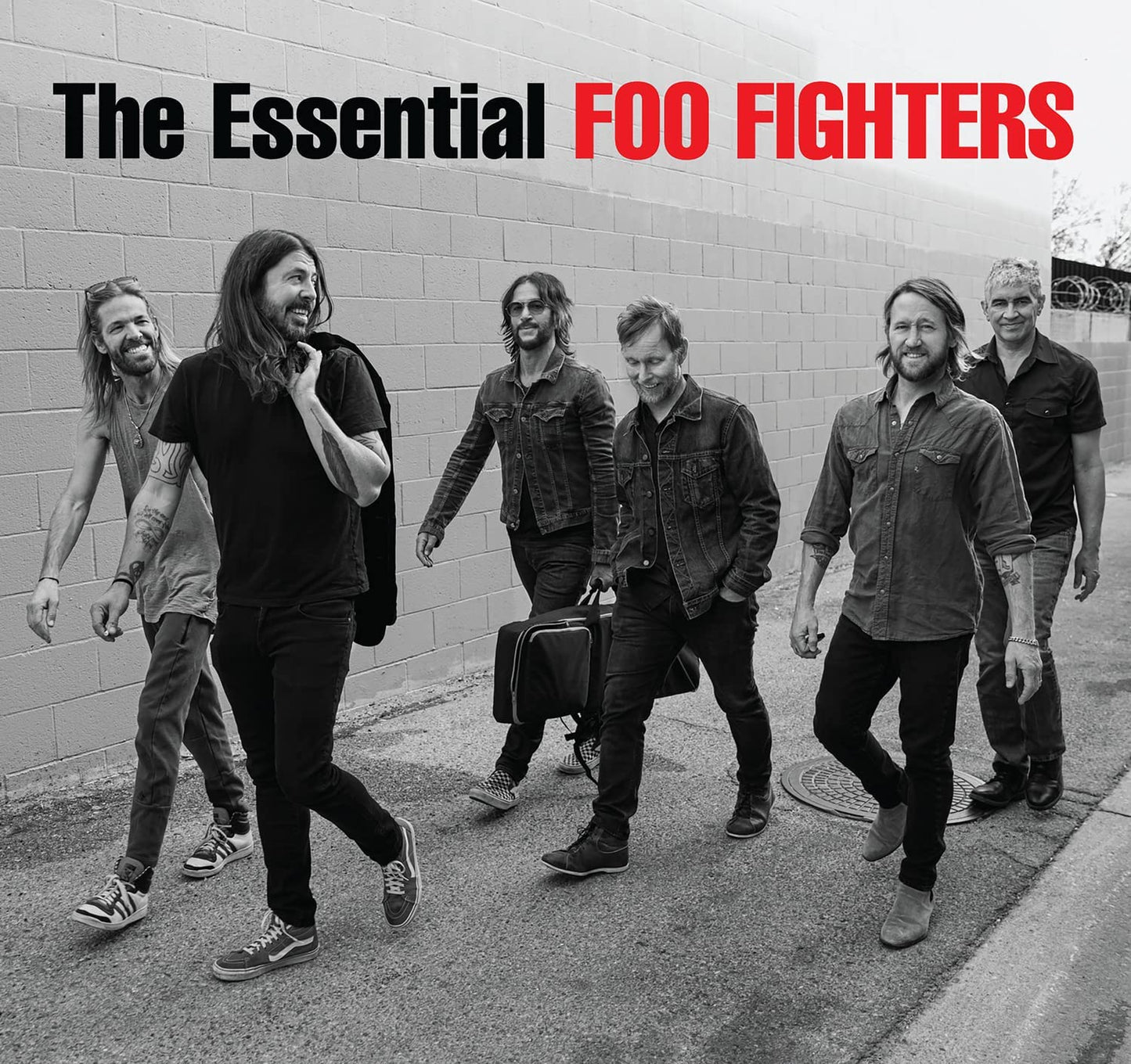 2LP - Foo Fighters - The Essential