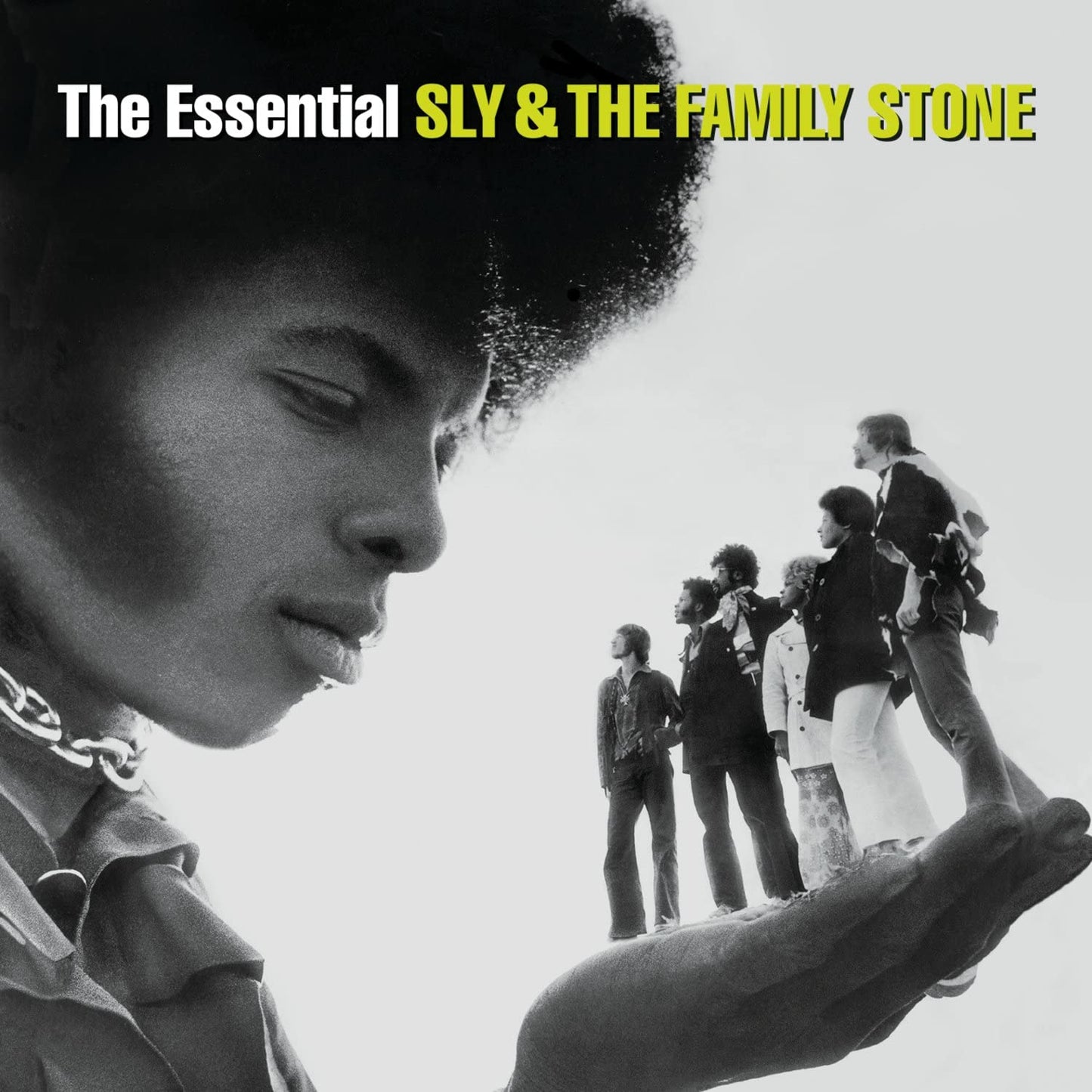 2CD - Sly & The Family Stone - The Essential