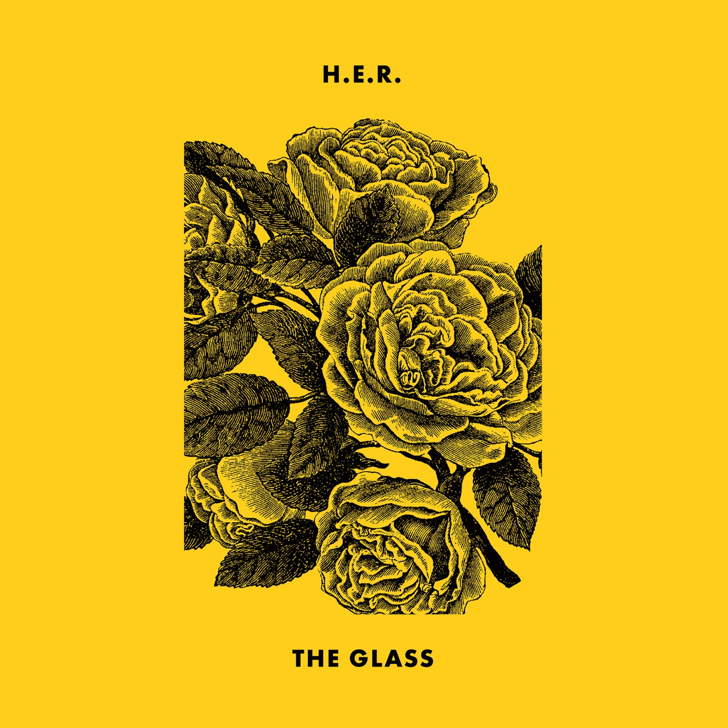 7" - H.E.R. / Foo Fighters - The Glass