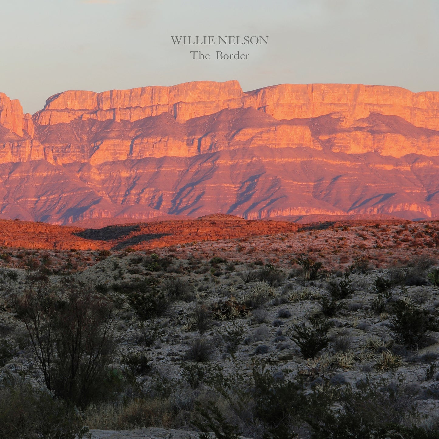 LP - Willie Nelson - The Border