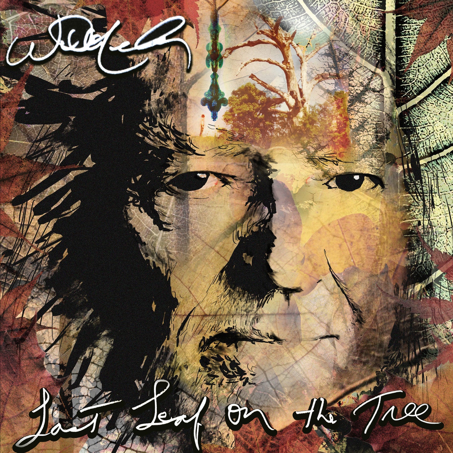 CD - Willie Nelson - Last Leaf On The Tree