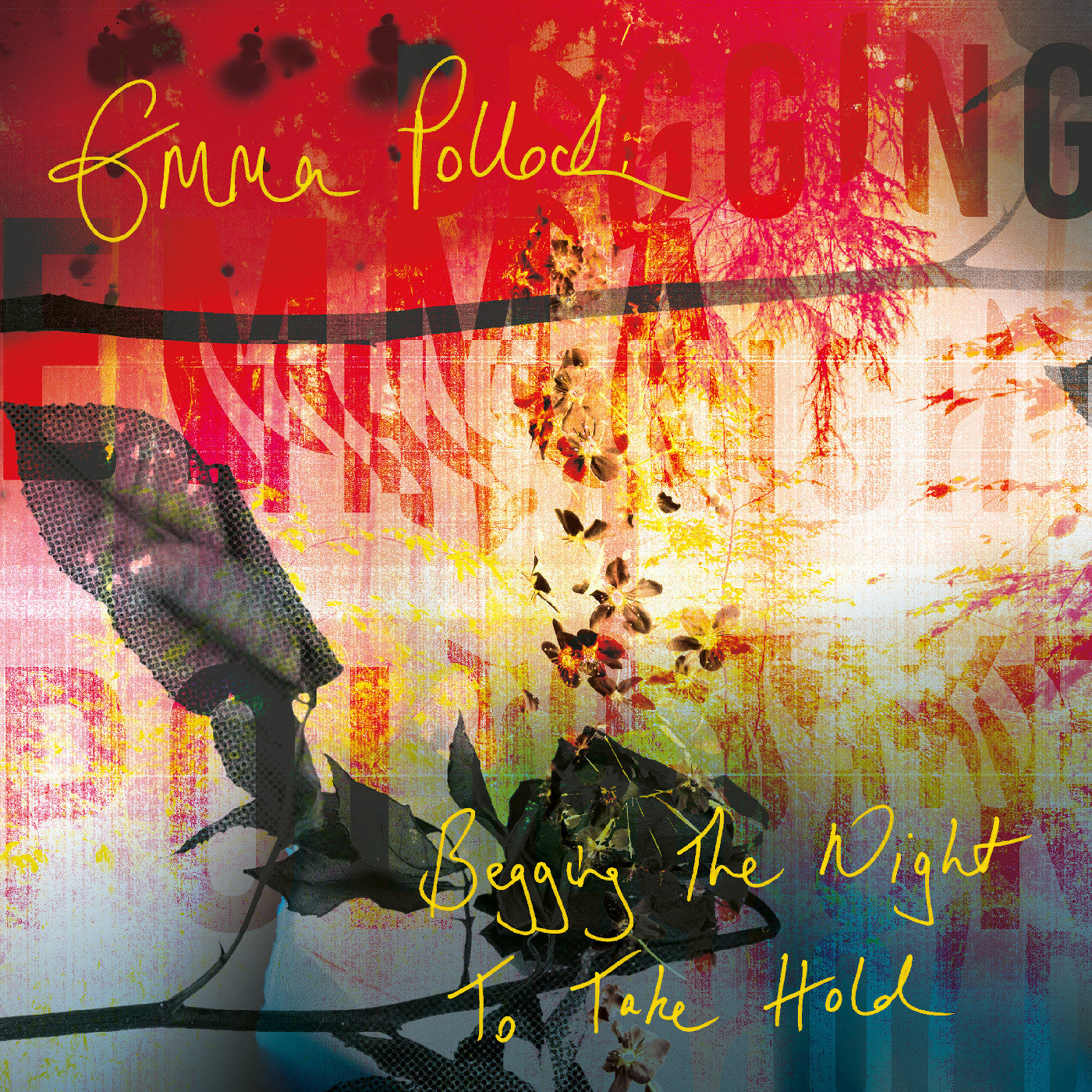 CD - Emma Pollock - Begging The Night To Take Hold