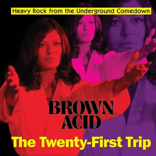 LP - Various - Brown Acid: The Twenty-First Trip