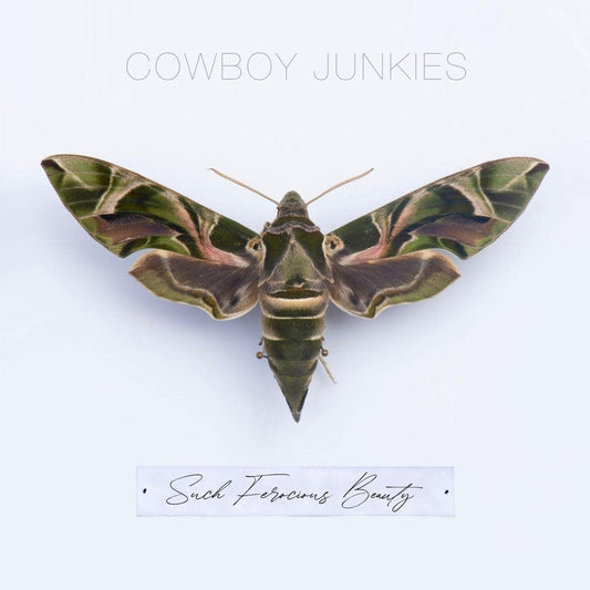 Cowboy Junkies - Such Ferocious Beauty - LP