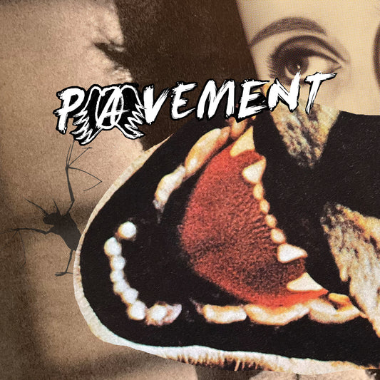 LP - Pavement – Hecklers Choice: Big Gums and Heavy Lifters - A Pavement Collection